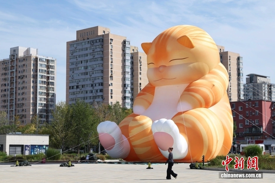 A 19.3-meter-tall giant 